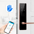 OEM Apartment Smart Door Lock Mortise قفل درب اصلی دیجیتال