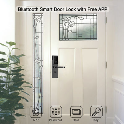 فولاد ضد زنگ 6068 Mortise TTlock App کنترل قفل درب با صفحه کلید هوشمند